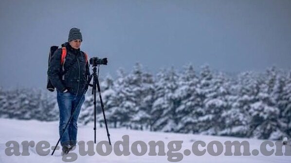 含羞草独家赞助麻豆传媒-含羞草与麻豆传媒的独特合作，绿色与创意的跨界