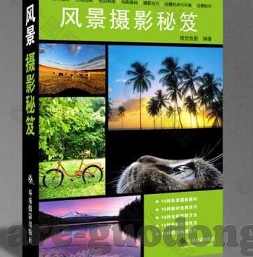 麻豆免费下载app-麻豆免费下载APP，便利、风险与法律边界的探索