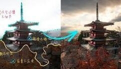 免费下载糖心app-掌握科技，乐享自由——免费下载糖心APP的便捷与魅力
